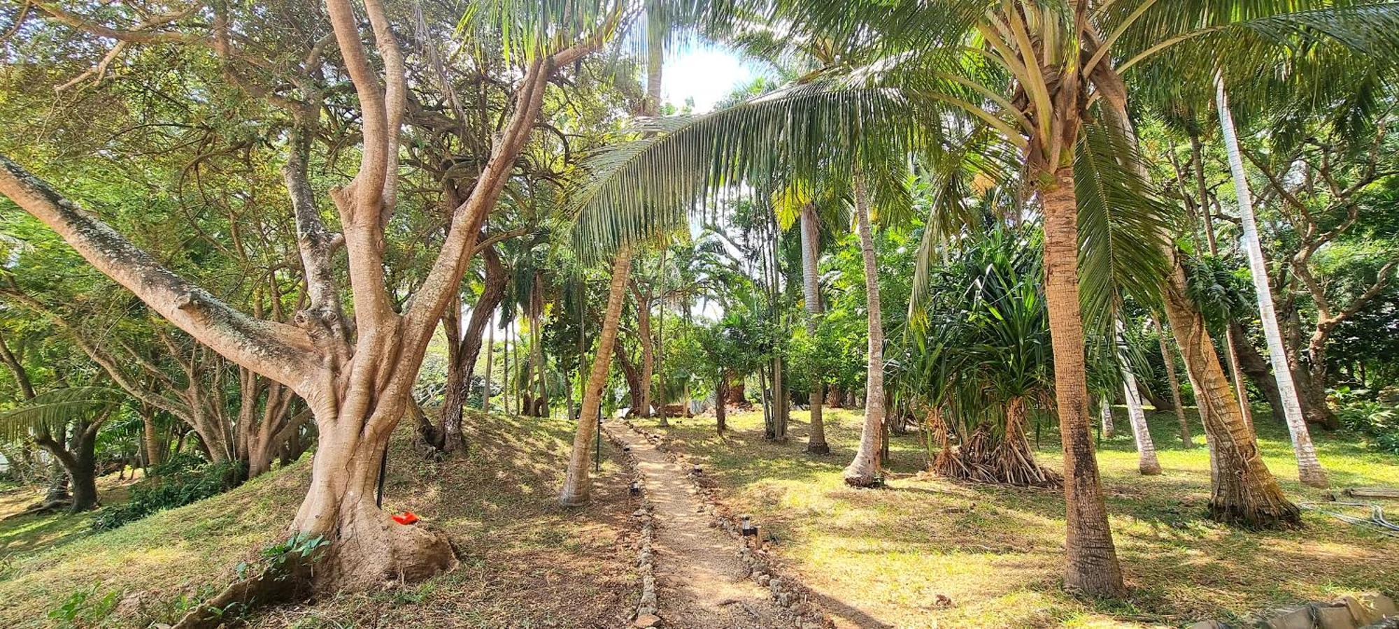 Mbweni Ruins & Gardens Previously Jungle Paradise Zanzibar Eksteriør bilde