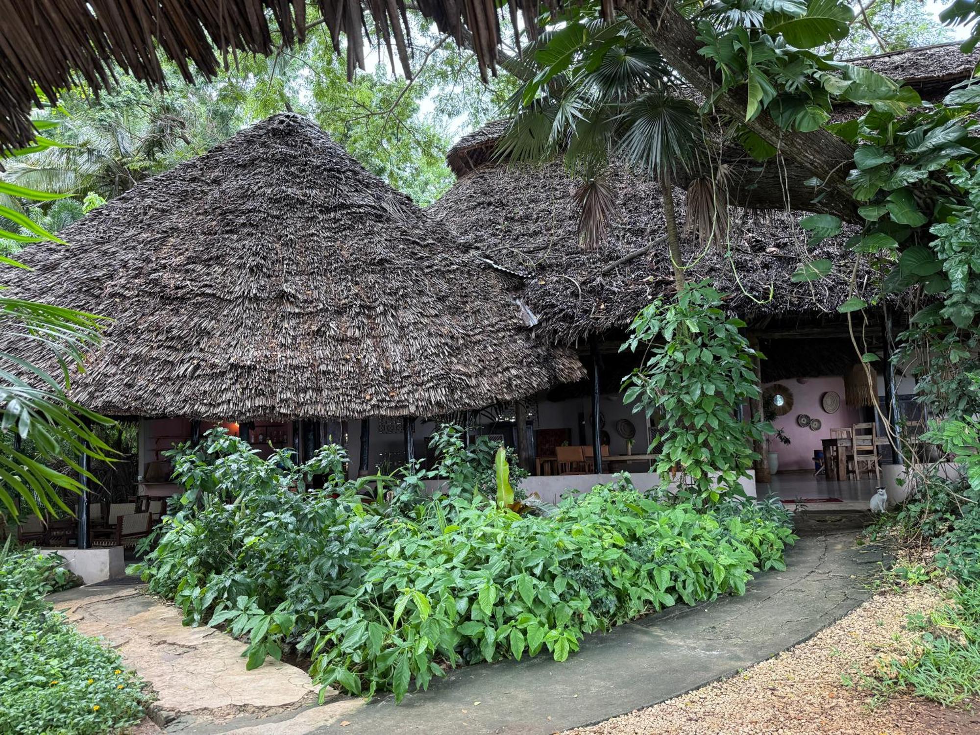 Mbweni Ruins & Gardens Previously Jungle Paradise Zanzibar Eksteriør bilde